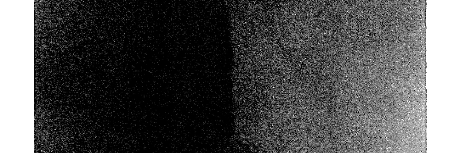 Ricksuis banner