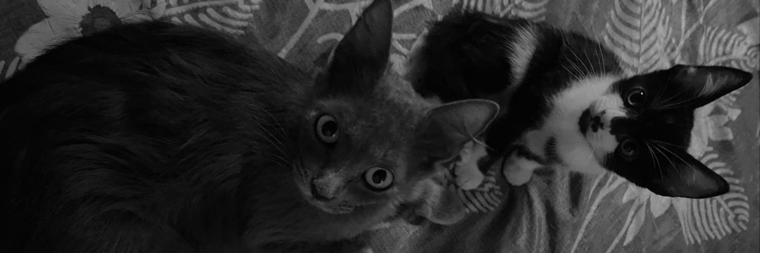 eduardazcosta's profile banner image