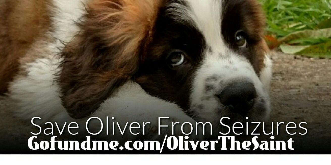 DANIE77E's profile banner image