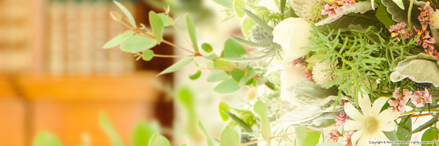 志方あきこPR banner