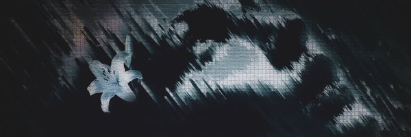 pimature Profile Banner