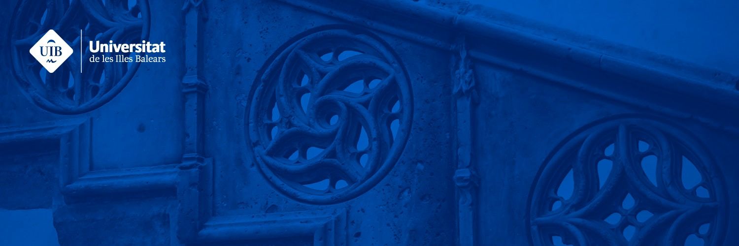 Consell Social UIB banner