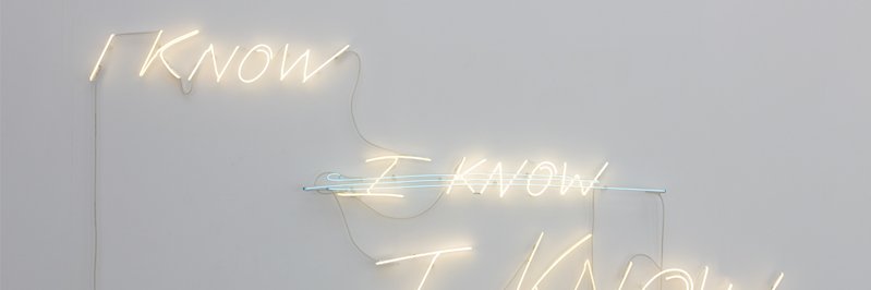 neopet sematary banner