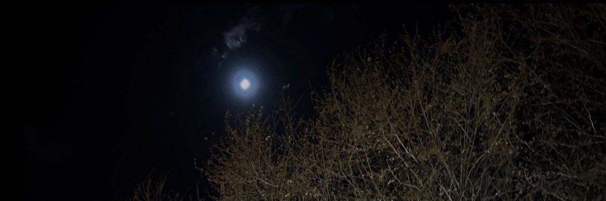 tat1su's profile banner image