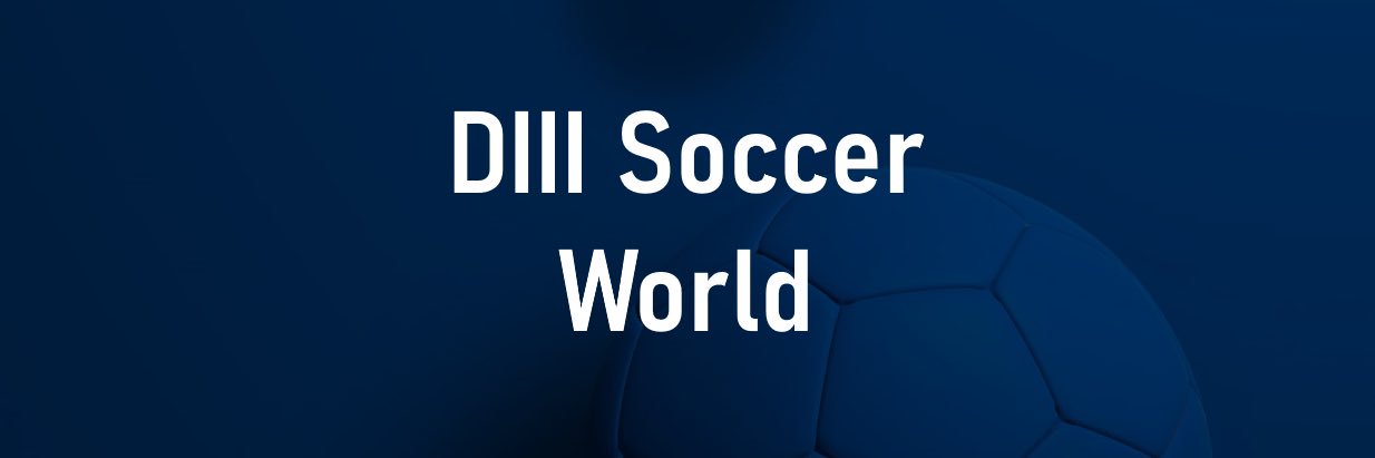 D3SoccerWorld banner