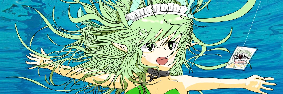NPC banner