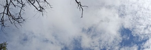 notaprocoder Profile Banner