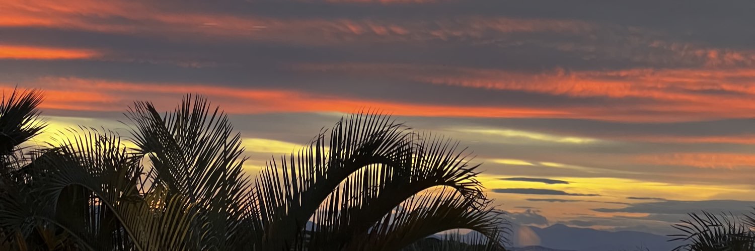 N.Celal Toroğlu banner