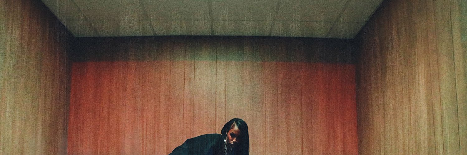 zarinotsorryy's profile banner image