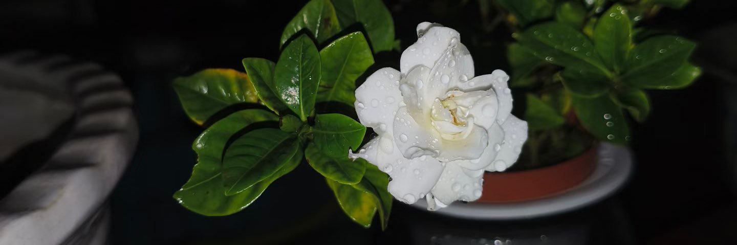 b29742's profile banner image