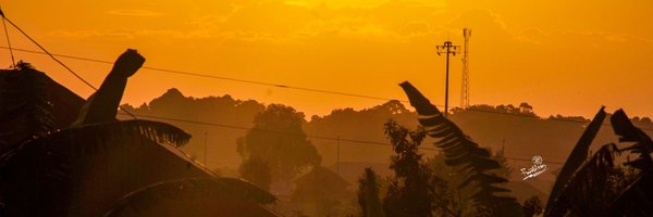 FrosteeLensUg Profile Banner
