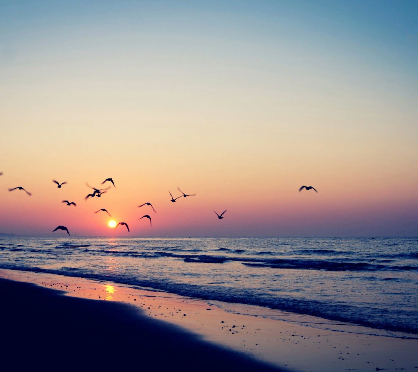 PalakJain_'s profile banner image