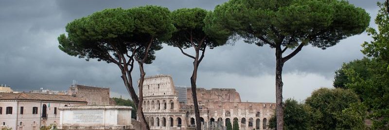 History Rhymes banner