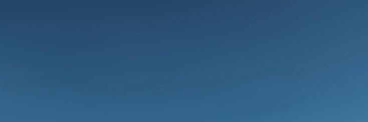 🐚🫧⭐️💙 banner