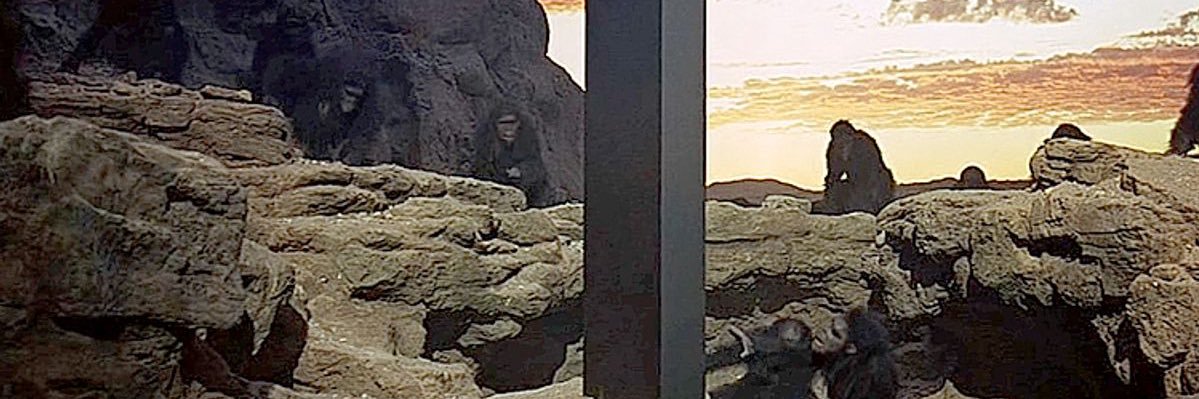 Anon banner