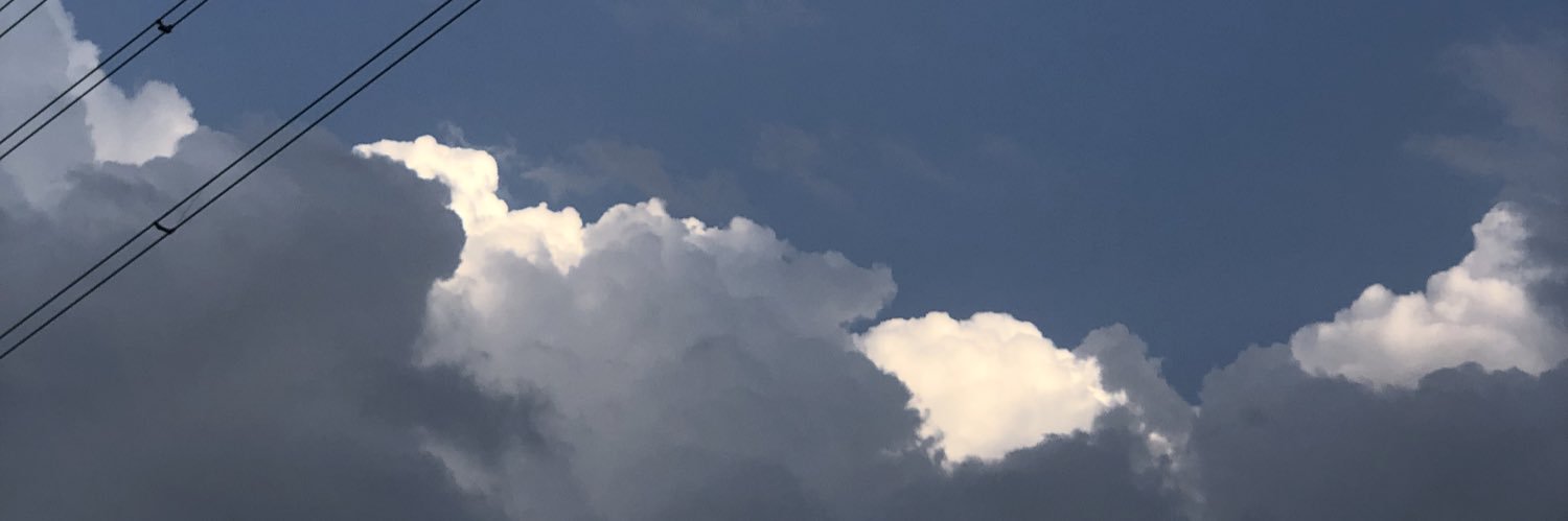 wistui's profile banner image