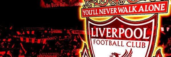 noel banner