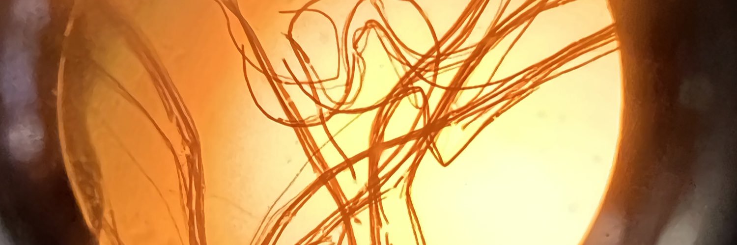 pettyglottis's profile banner image