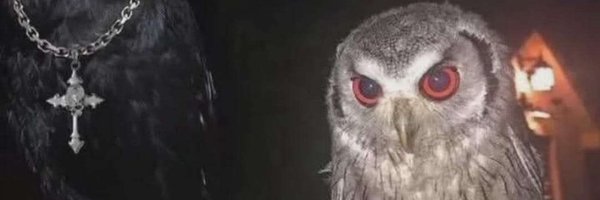 mil_in_hell Profile Banner