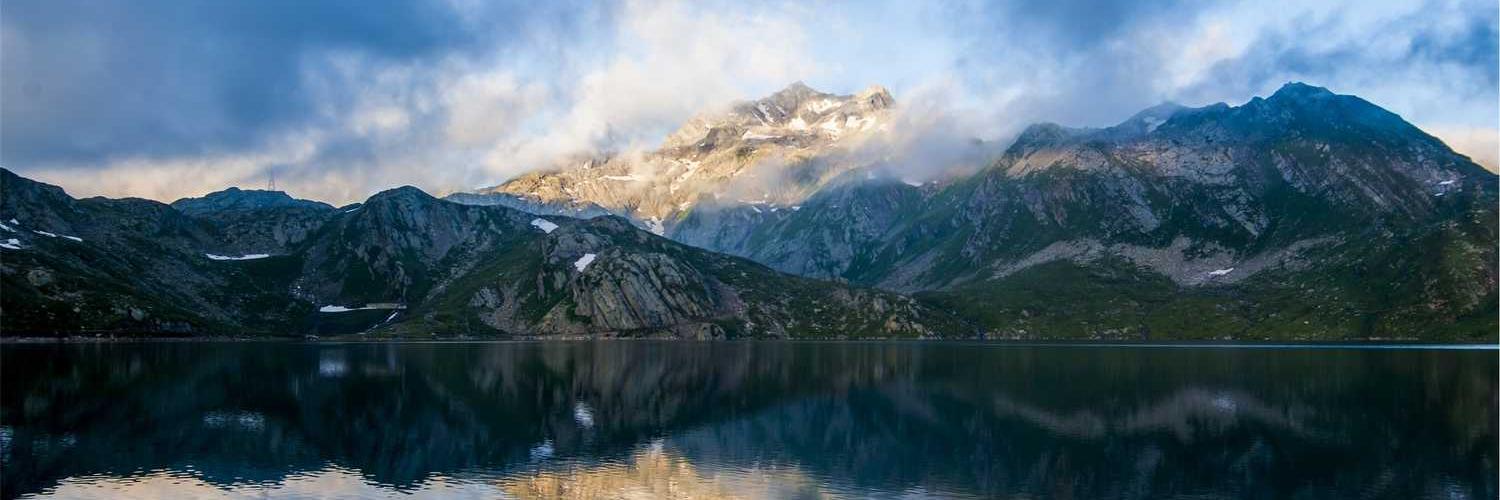 奶茶小呆子 banner