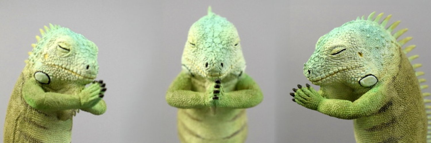 FluffyPawsHaven banner