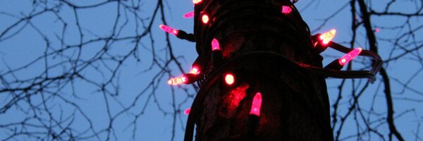 blowdart Profile Banner
