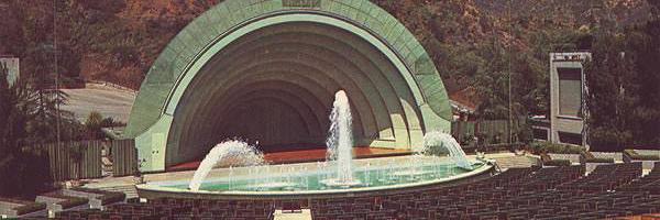 David Lawrence banner