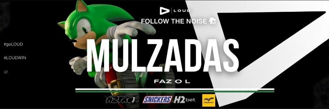Mulzadas banner