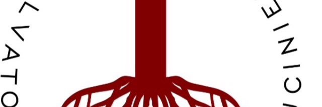 salvatass's profile banner image
