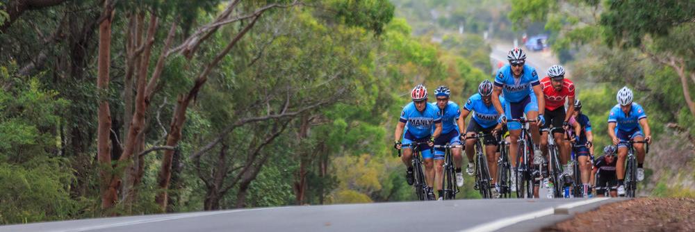 Manly Warringah CC banner