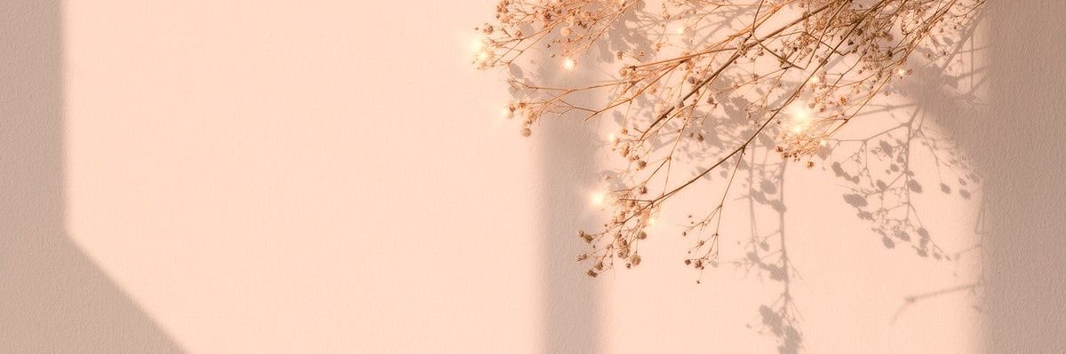 cha_ki_co's profile banner image