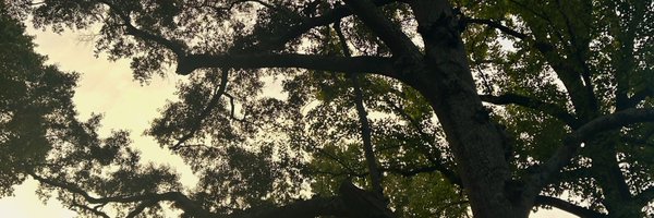 supercreamybama Profile Banner