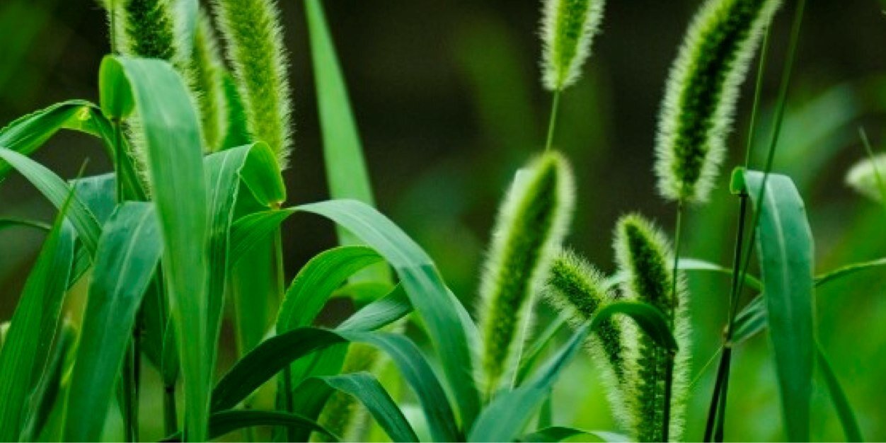 어른이라는 세계🕯️ banner