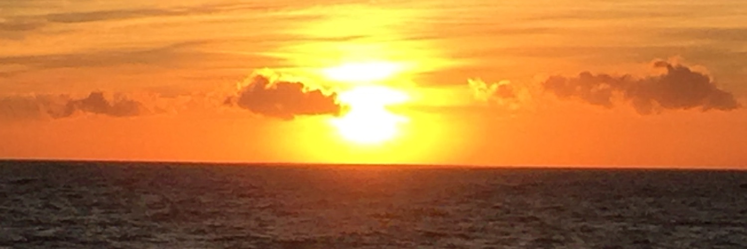 MiamiViceGOP's banner