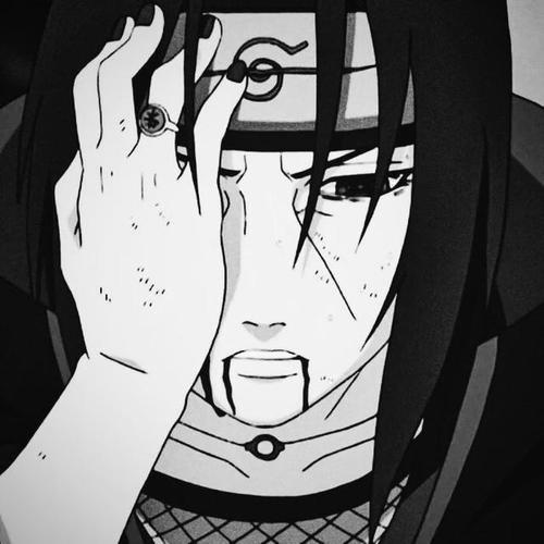 carabouille's profile banner image