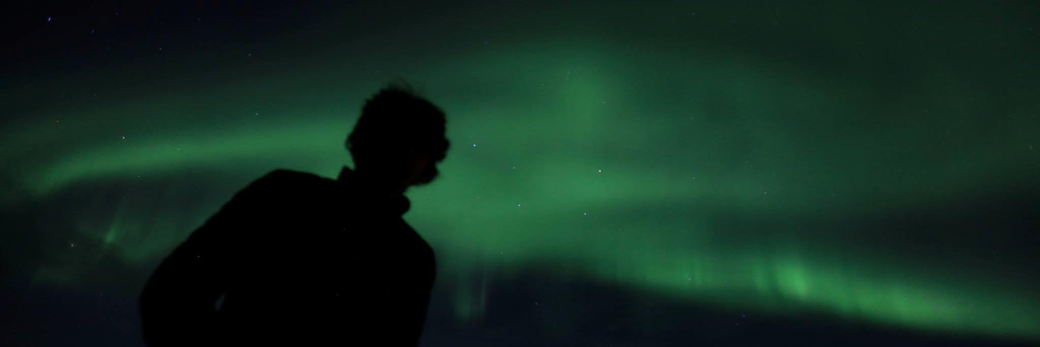 lfalcomerdawson's profile banner image