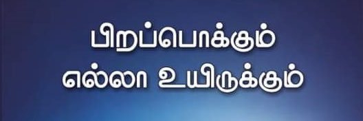 GoPi banner