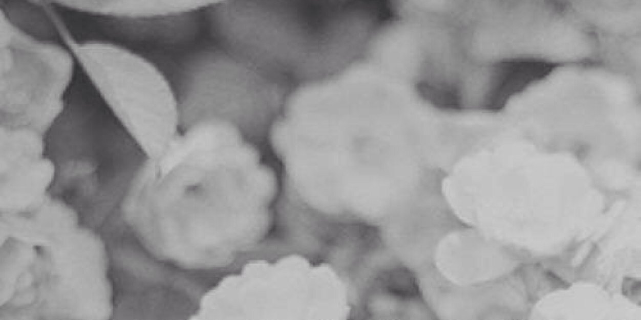 TAYLOR_BMORGAN's profile banner image