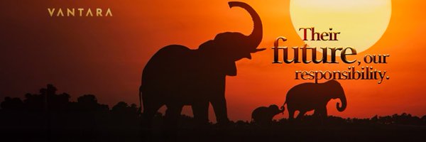 Vantara_RF Profile Banner