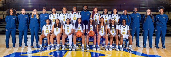 LadyAggiesHC Profile Banner