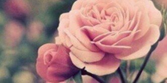 engl_com's profile banner image