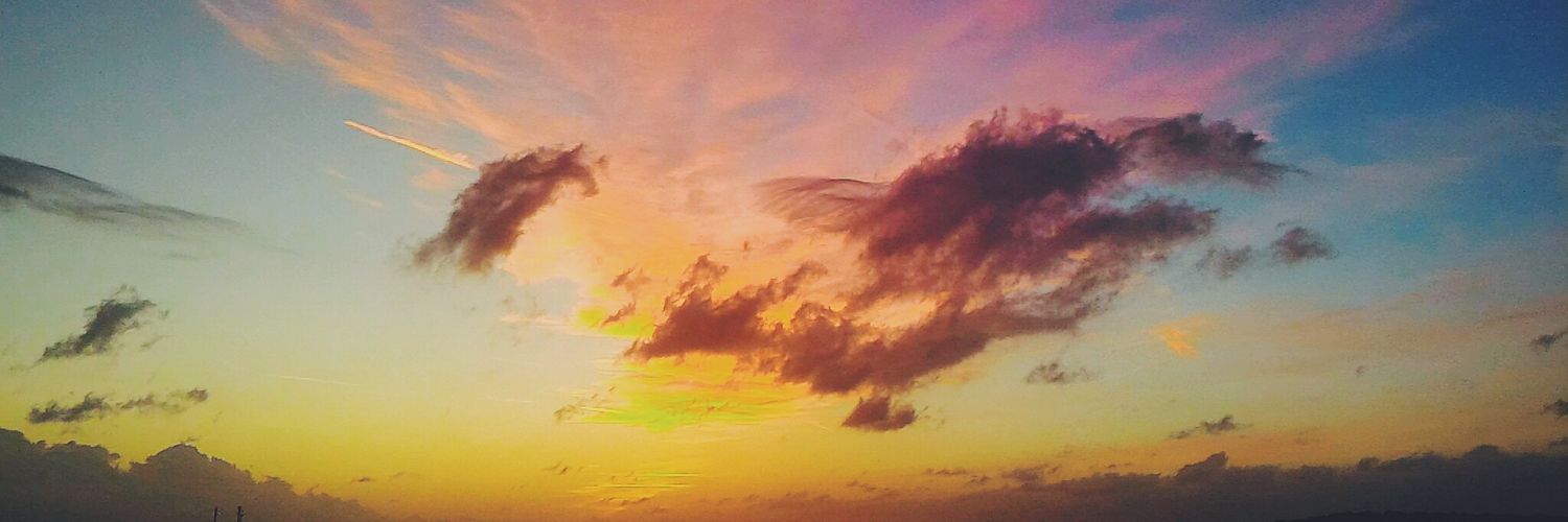 fefina5's profile banner image