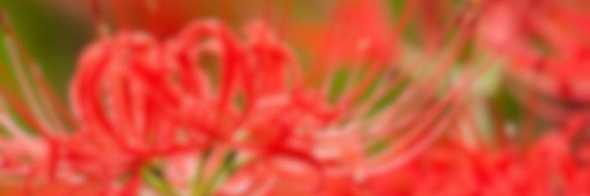 a3f2_p's profile banner image