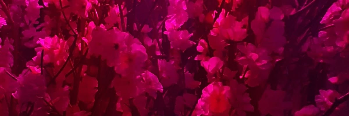 🌙❌ KIRA ⚢ banner