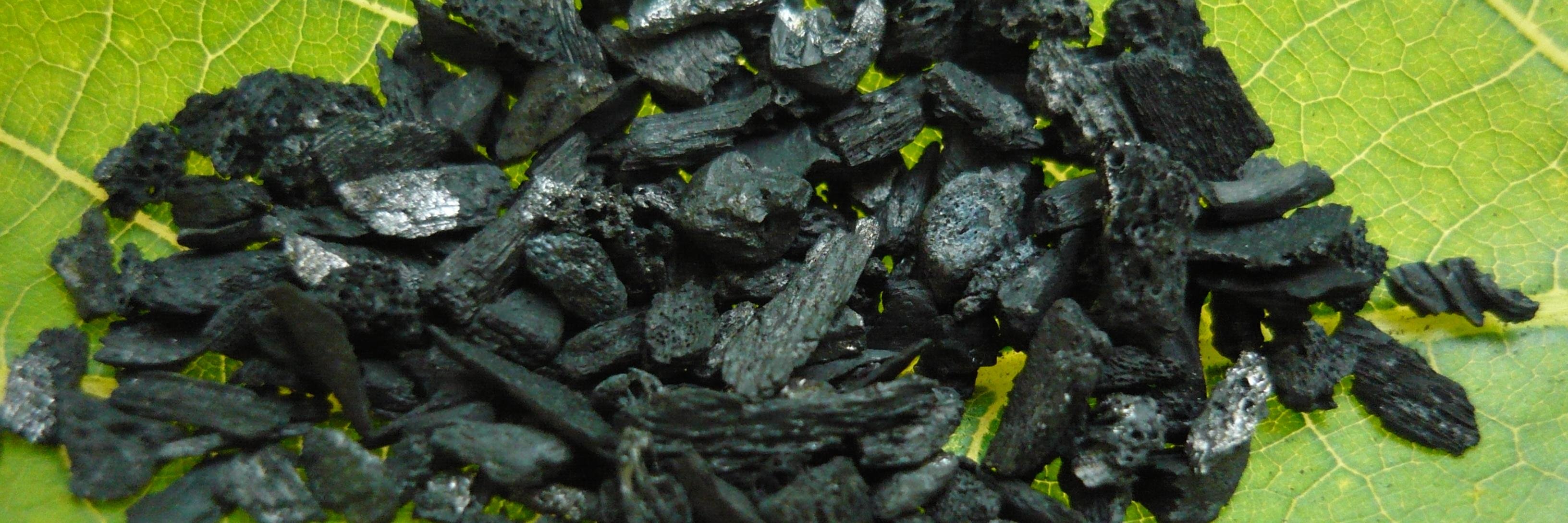 Edward Someus banner