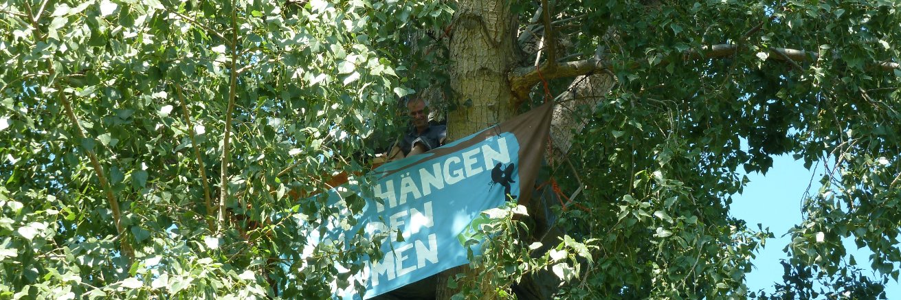 Eberhard Linckh - @takecareoftrees@mastodon.social banner