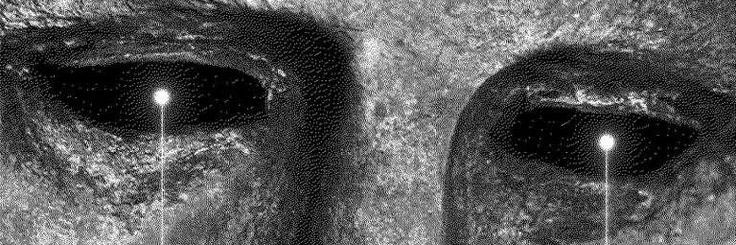 Wᴀʟʟꜰʟᴏᴡᴇʀ 🥀 banner