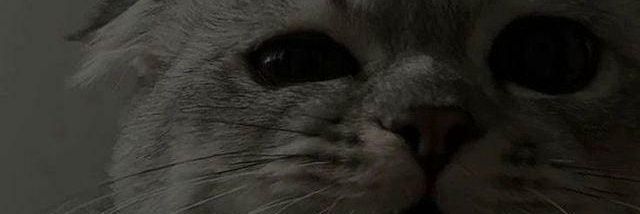 歪 ◡̈ banner
