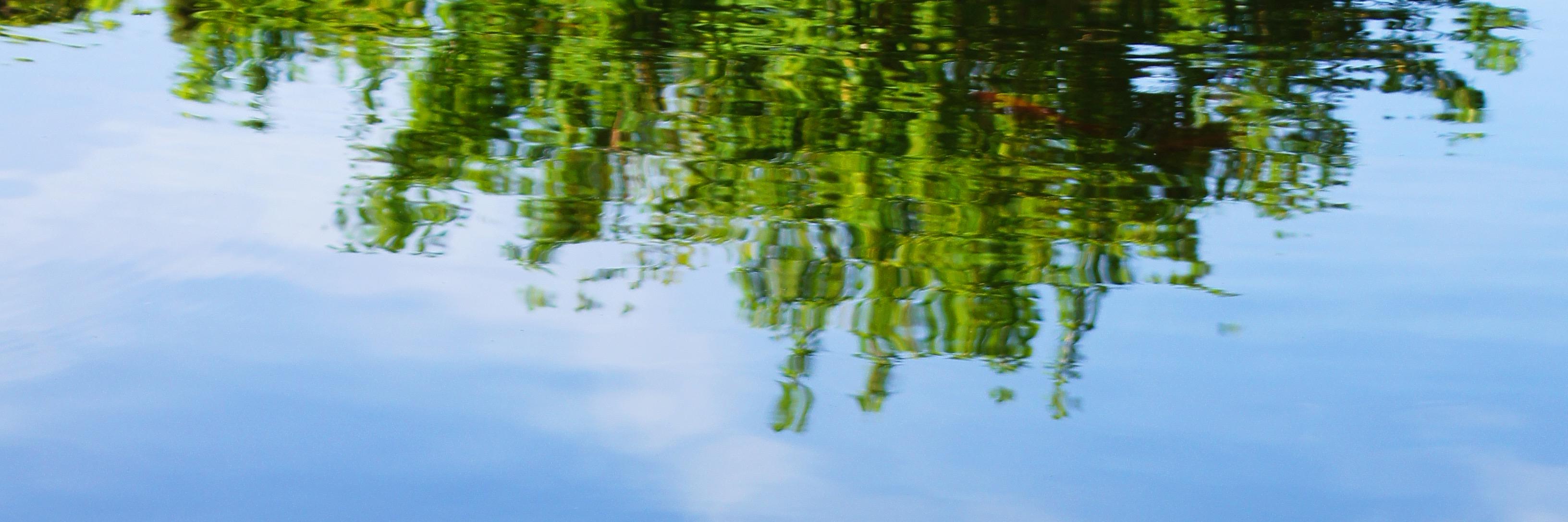 Virujim's profile banner image