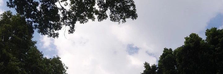 irayy banner